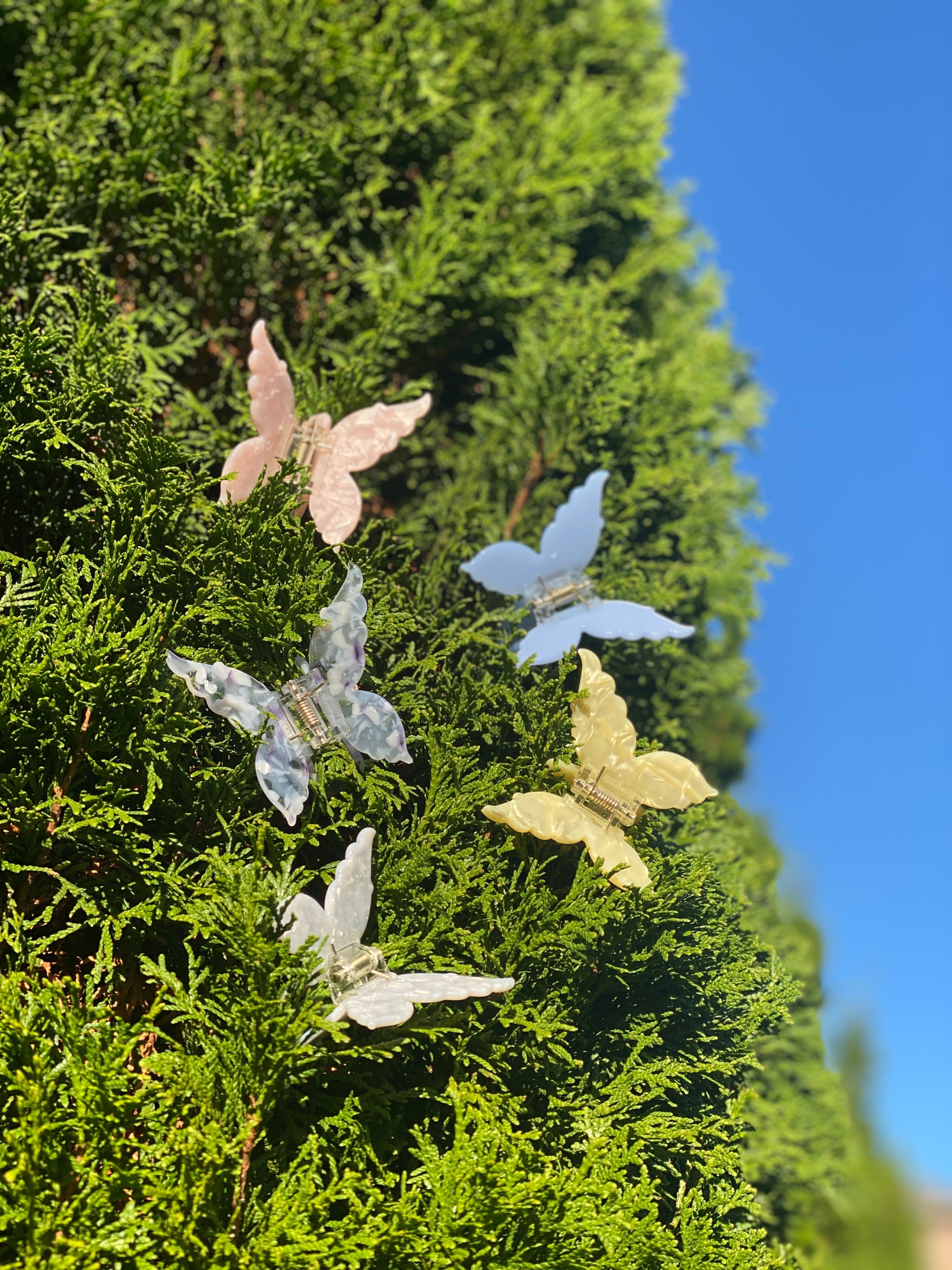Ecofriendly Acetate Butterfly Claw - Cloud White